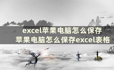 excel苹果电脑怎么保存 苹果电脑怎么保存excel表格